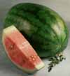v_watermeloncongo.jpg